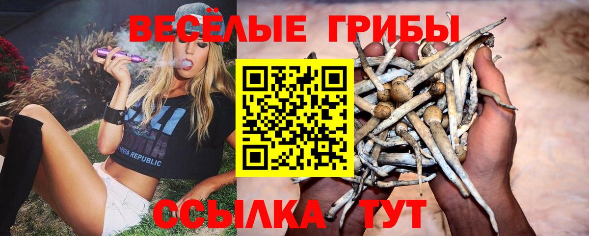 Ханты-Мансийск  хочу   Вход с VPN  Галлюциногенные грибы мухоморы 
